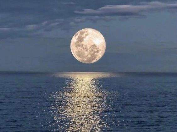 海內(nèi)存知己，天涯共此時