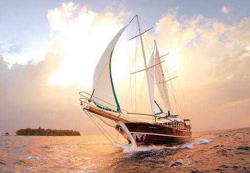 力馬與您揚帆制藥機(jī)械的“星辰大海”